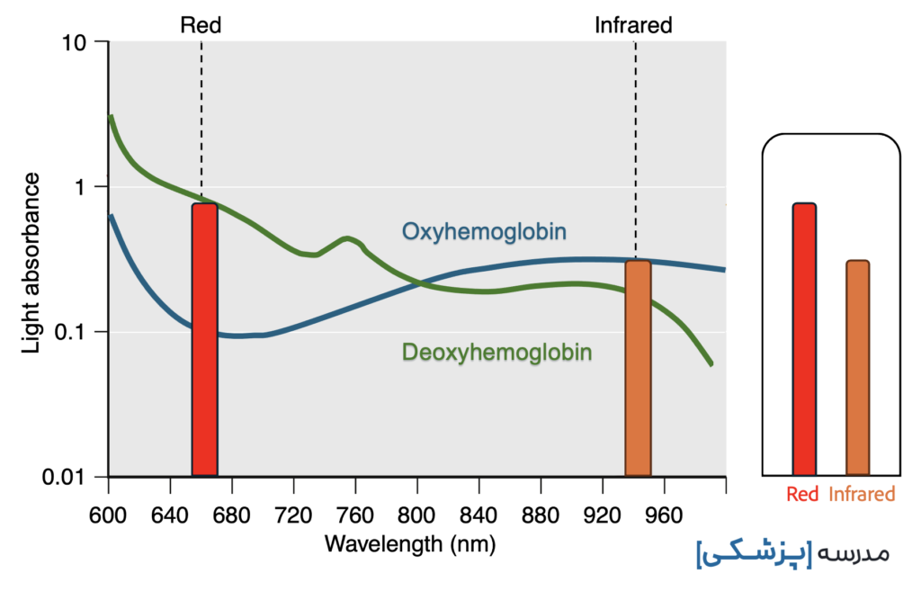Oxyhemoglobin Deoxyhemoglobin light absorbance