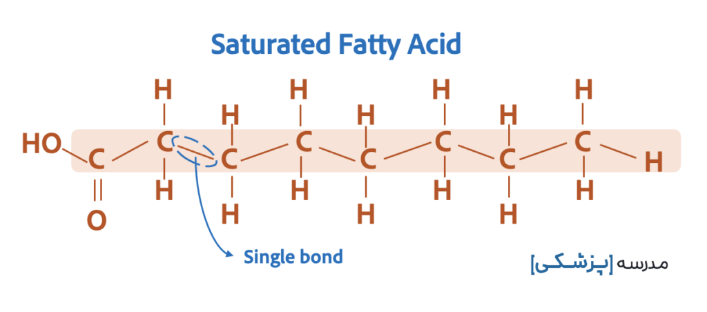 saturated fatty acid single bond