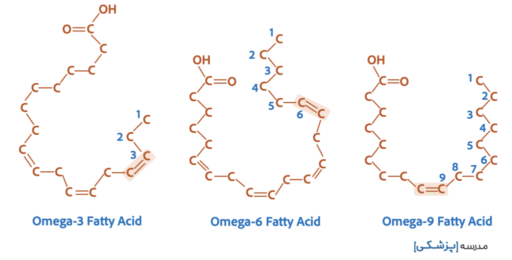 unsaturated fatty acid omega-3 omega-6 omega-9
امگا ۳ امگا ۶ امگا ۹ اسید چرب